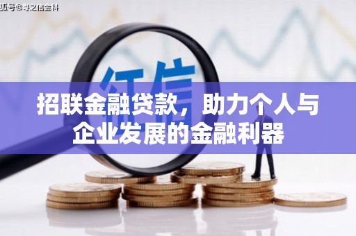东平招联金融贷款，助力个人与企业发展的金融利器