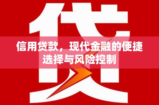 东平信用贷款，现代金融的便捷选择与风险控制