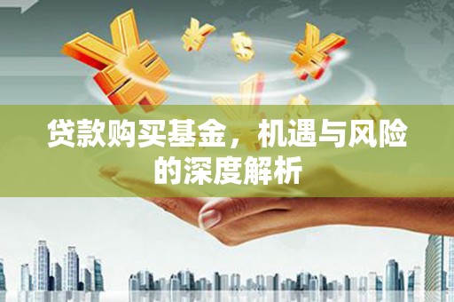 东平贷款购买基金，机遇与风险的深度解析