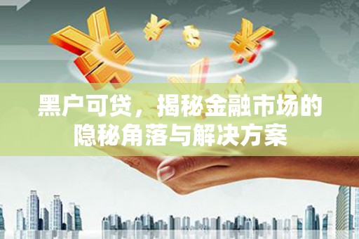 东平黑户可贷，揭秘金融市场的隐秘角落与解决方案