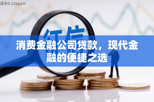 东平消费金融公司贷款，现代金融的便捷之选