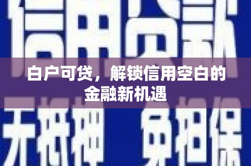 东平白户可贷，解锁信用空白的金融新机遇