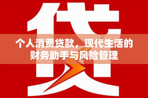 东平个人消费贷款，现代生活的财务助手与风险管理