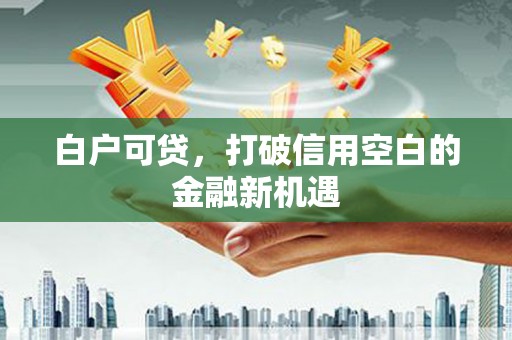 东平白户可贷，打破信用空白的金融新机遇