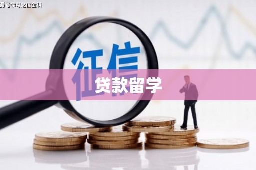 东平贷款留学