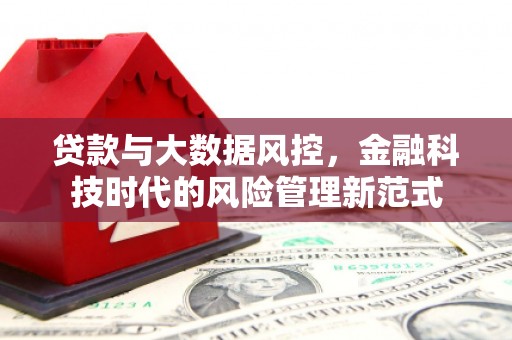 东平贷款与大数据风控，金融科技时代的风险管理新范式
