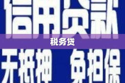 东平税务贷