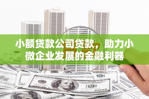 东平小额贷款公司贷款，助力小微企业发展的金融利器