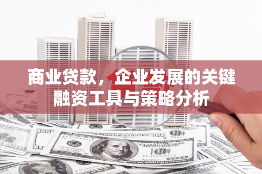东平商业贷款，企业发展的关键融资工具与策略分析