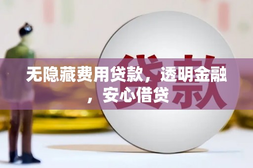 东平无隐藏费用贷款，透明金融，安心借贷