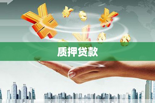 东平质押贷款