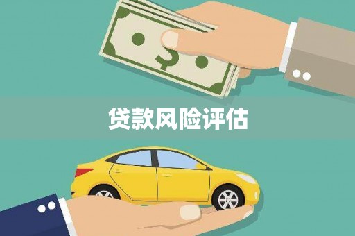 东平贷款风险评估