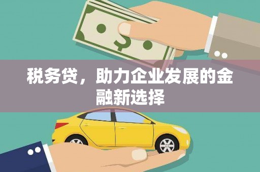东平税务贷，助力企业发展的金融新选择