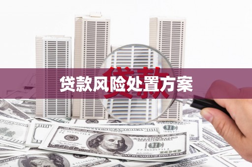 东平贷款风险处置方案