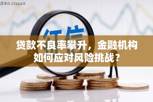 东平贷款不良率攀升，金融机构如何应对风险挑战？