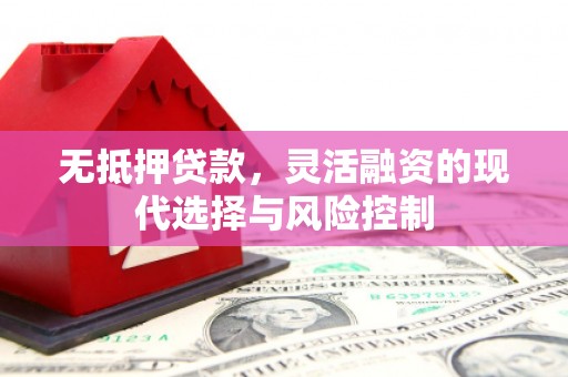 东平无抵押贷款，灵活融资的现代选择与风险控制