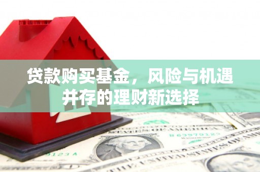 东平贷款购买基金，风险与机遇并存的理财新选择