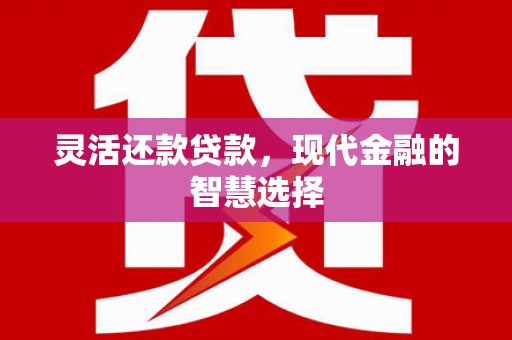 东平灵活还款贷款，现代金融的智慧选择