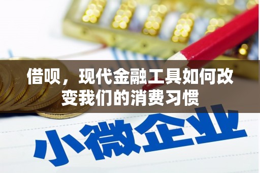 东平借呗，现代金融工具如何改变我们的消费习惯