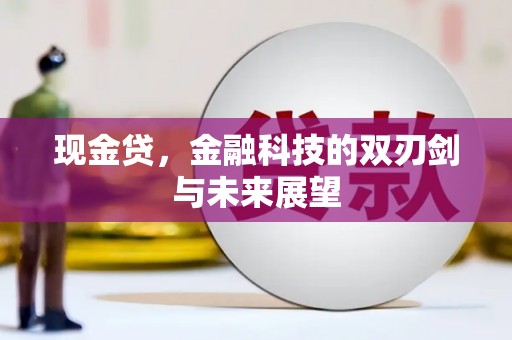 东平现金贷，金融科技的双刃剑与未来展望