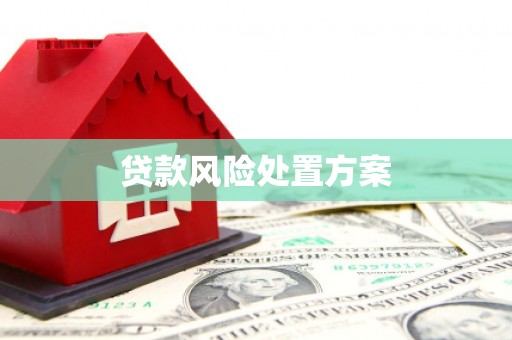 东平贷款风险处置方案