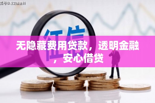 东平无隐藏费用贷款，透明金融，安心借贷