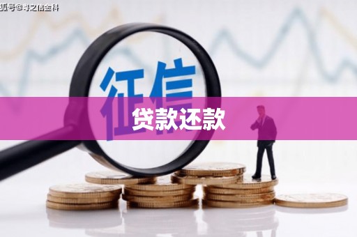 东平贷款还款