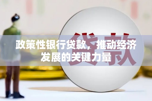 东平政策性银行贷款，推动经济发展的关键力量