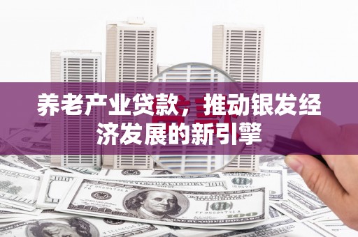 东平养老产业贷款，推动银发经济发展的新引擎
