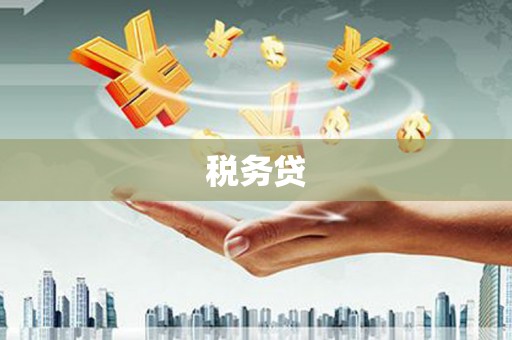 东平税务贷