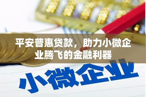 东平平安普惠贷款，助力小微企业腾飞的金融利器