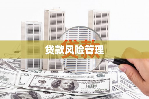 东平贷款风险管理
