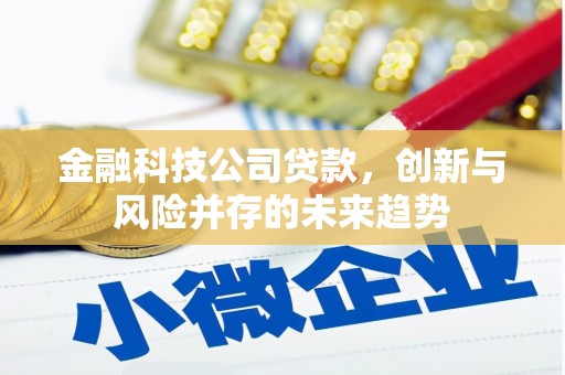 东平金融科技公司贷款，创新与风险并存的未来趋势