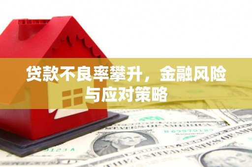 东平贷款不良率攀升，金融风险与应对策略