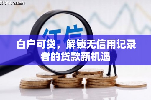 东平白户可贷，解锁无信用记录者的贷款新机遇