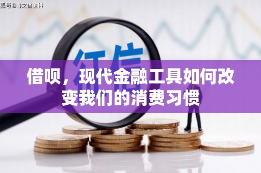 东平借呗，现代金融工具如何改变我们的消费习惯