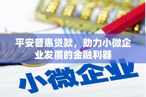 东平平安普惠贷款，助力小微企业发展的金融利器