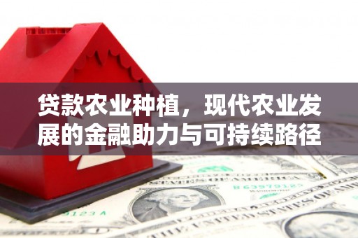东平贷款农业种植，现代农业发展的金融助力与可持续路径