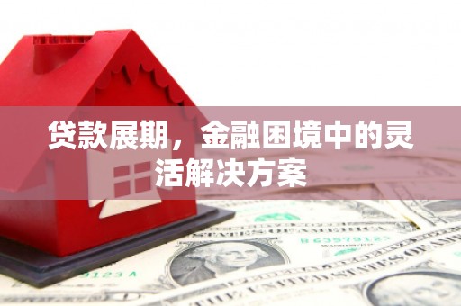 东平贷款展期，金融困境中的灵活解决方案