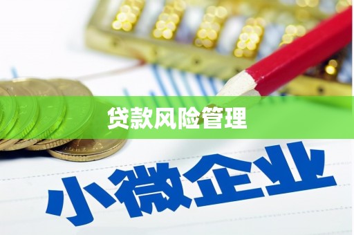 东平贷款风险管理