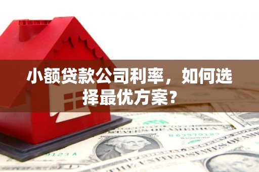 东平小额贷款公司利率，如何选择最优方案？