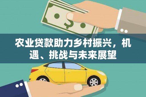 东平农业贷款助力乡村振兴，机遇、挑战与未来展望