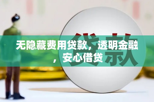 东平无隐藏费用贷款，透明金融，安心借贷