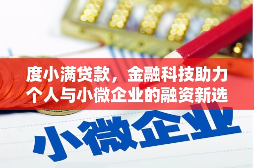 东平度小满贷款，金融科技助力个人与小微企业的融资新选择