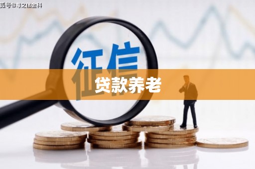 东平贷款养老