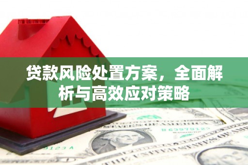 东平贷款风险处置方案，全面解析与高效应对策略