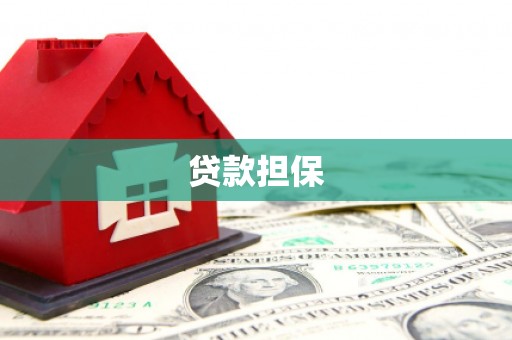 东平贷款担保