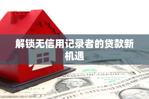 东平解锁无信用记录者的贷款新机遇