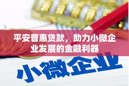 东平平安普惠贷款，助力小微企业发展的金融利器