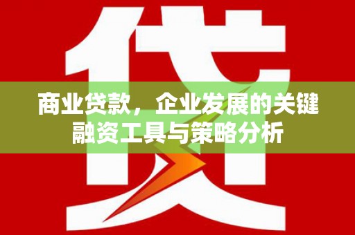 东平商业贷款，企业发展的关键融资工具与策略分析